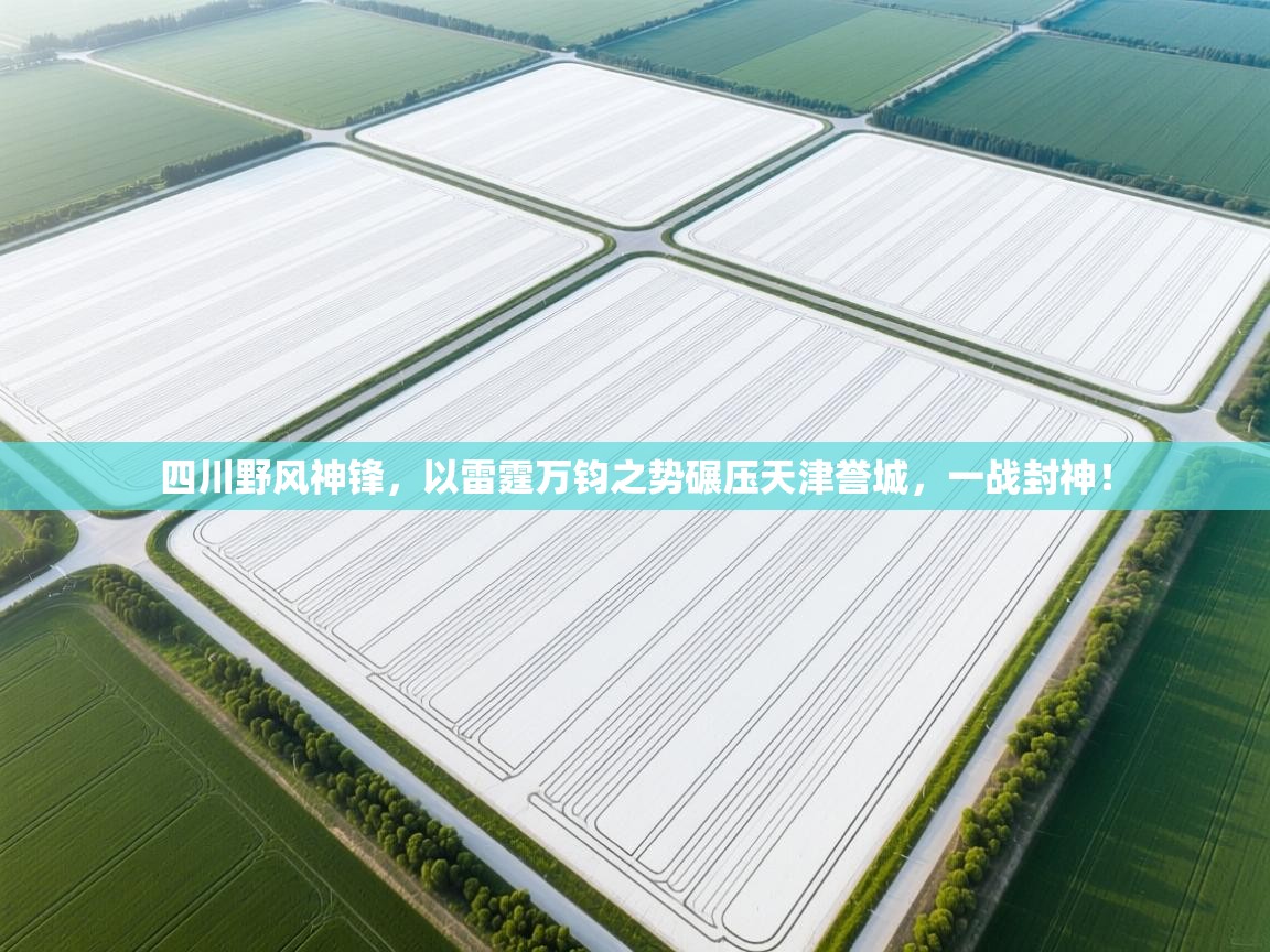 四川野风神锋，以雷霆万钧之势碾压天津誉城，一战封神！  第2张