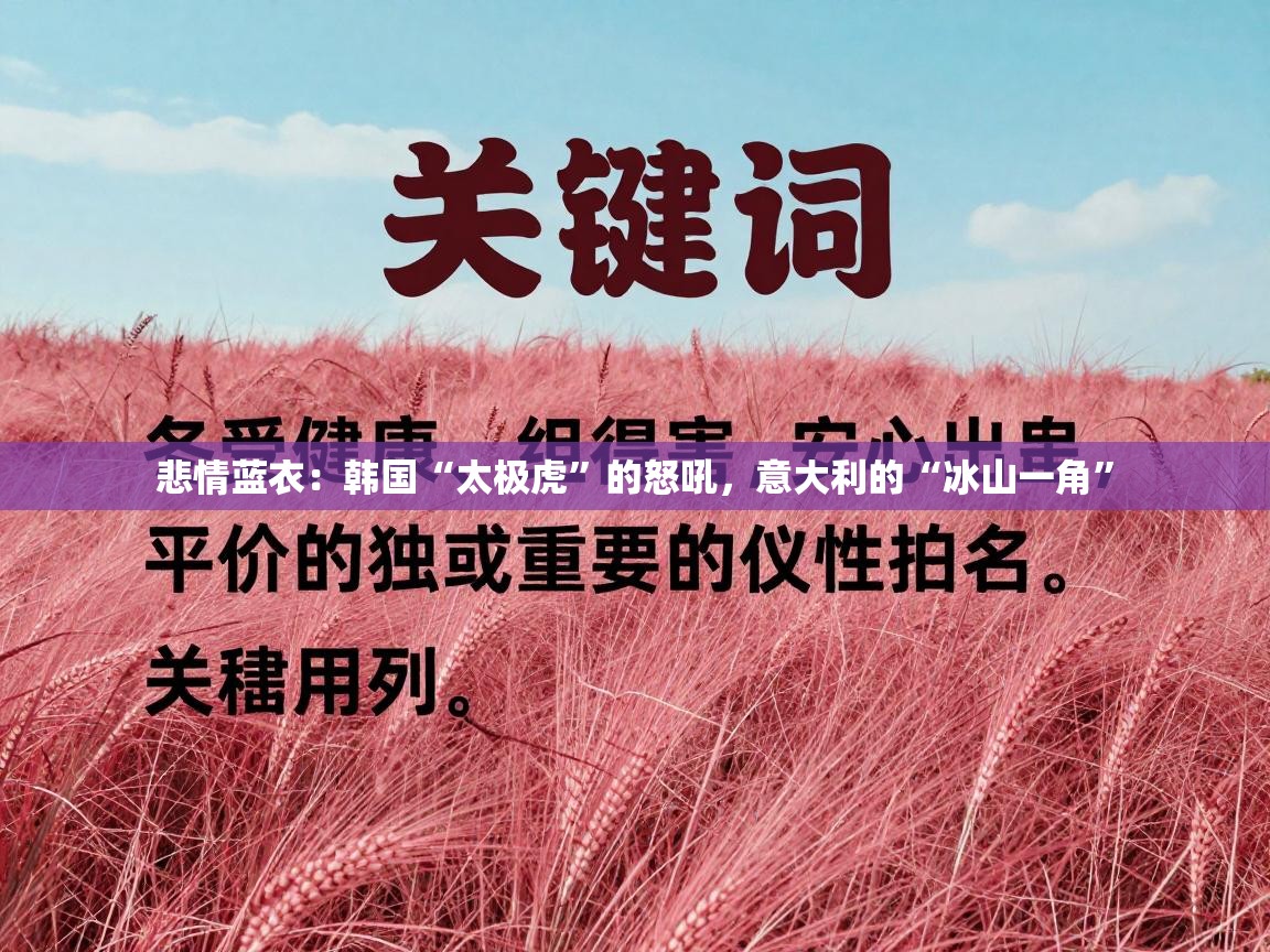 悲情蓝衣:韩国“太极虎”的怒吼,意大利的“冰山一角” 第2张