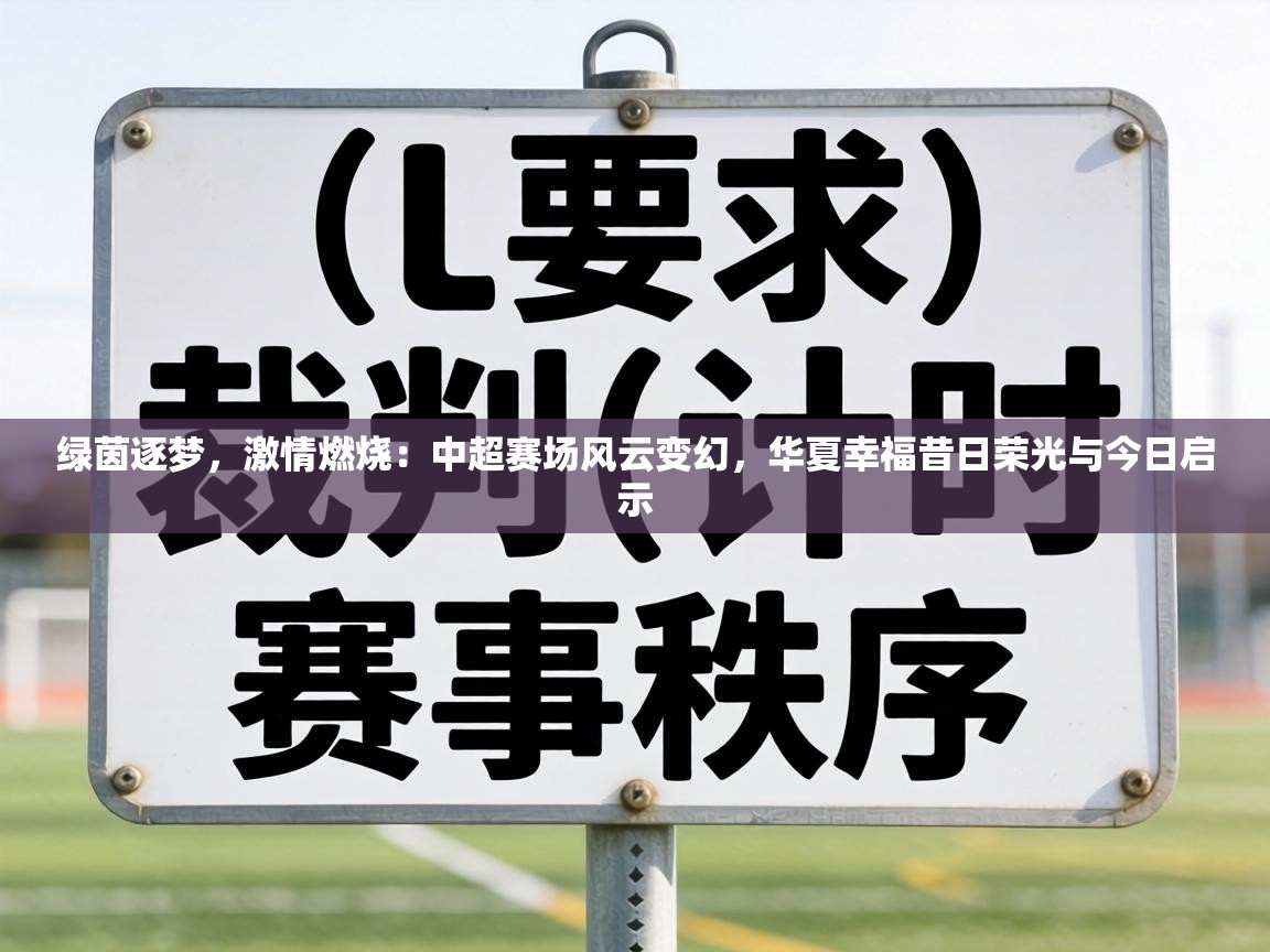 绿茵逐梦,激情燃烧:中超赛场风云变幻,华夏幸福昔日荣光与今日启示 第2张